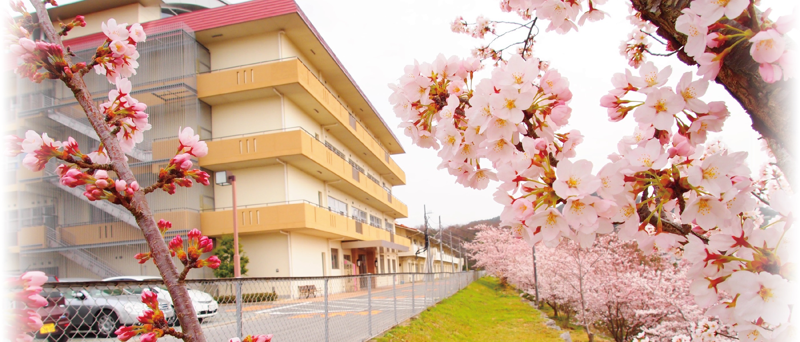 社会福祉法人 牧方療育園　医療福祉センターさくら